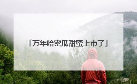 万年哈密瓜甜蜜上市了