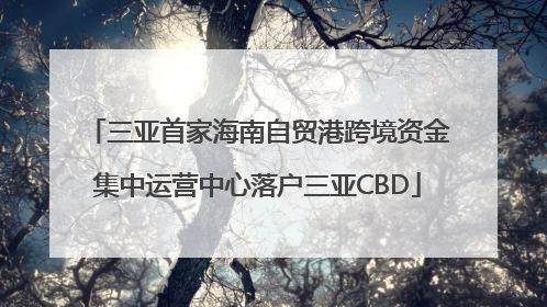三亚首家海南自贸港跨境资金集中运营中心落户三亚CBD