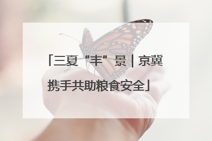 三夏“丰”景｜京冀携手共助粮食安全