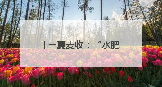 三夏麦收：“水肥还田”助力河南农民“减投增产”