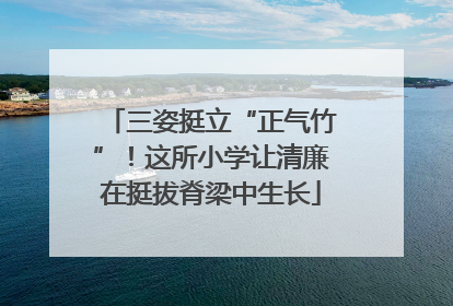 三姿挺立“正气竹”！这所小学让清廉在挺拔脊梁中生长