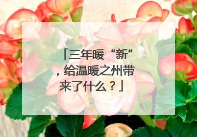 三年暖“新”，给温暖之州带来了什么？