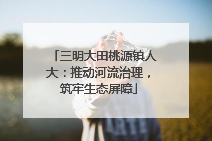 三明大田桃源镇人大：推动河流治理，筑牢生态屏障