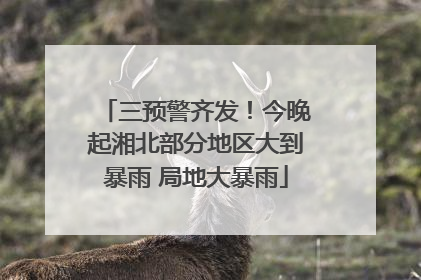 三预警齐发！今晚起湘北部分地区大到暴雨 局地大暴雨
