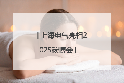 上海电气亮相2025碳博会