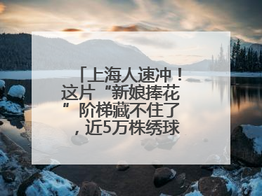 上海人速冲！这片“新娘捧花”阶梯藏不住了，近5万株绣球花如梦似幻
