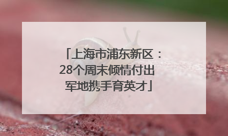 上海市浦东新区：28个周末倾情付出 军地携手育英才