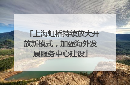 上海虹桥持续放大开放新模式，加强海外发展服务中心建设