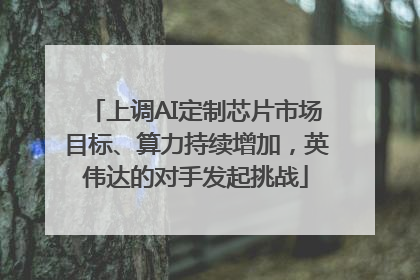 上调AI定制芯片市场目标、算力持续增加，英伟达的对手发起挑战