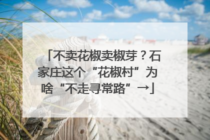 不卖花椒卖椒芽？石家庄这个“花椒村”为啥“不走寻常路”→