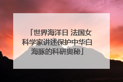 世界海洋日 法国女科学家讲述保护中华白海豚的科研奥秘