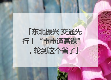 东北振兴 交通先行丨“市市通高铁”，轮到这个省了