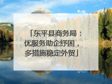 东平县商务局：优服务助企纾困，多措施稳定外贸