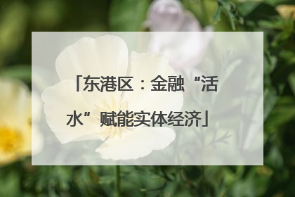 东港区：金融“活水”赋能实体经济