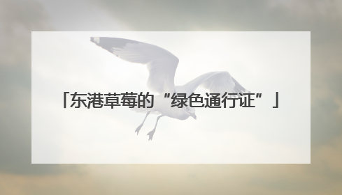 东港草莓的“绿色通行证”