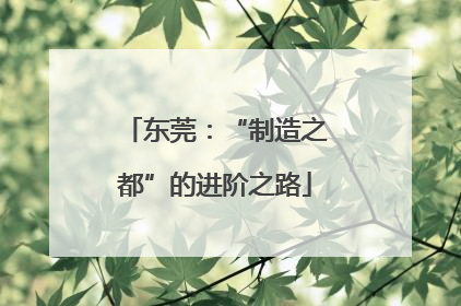 东莞：“制造之都”的进阶之路