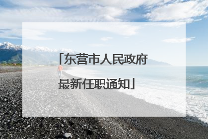 东营市人民政府最新任职通知
