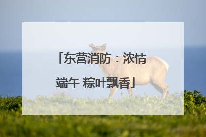 东营消防：浓情端午 粽叶飘香