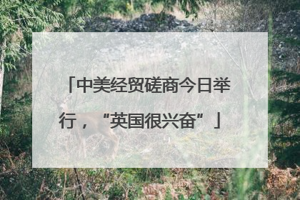 中美经贸磋商今日举行，“英国很兴奋”