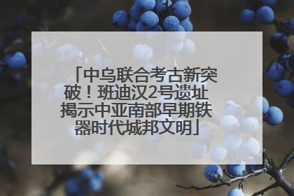 中乌联合考古新突破！班迪汉2号遗址揭示中亚南部早期铁器时代城邦文明