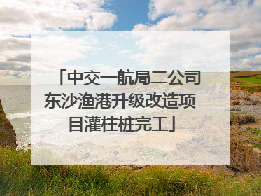 中交一航局二公司东沙渔港升级改造项目灌柱桩完工