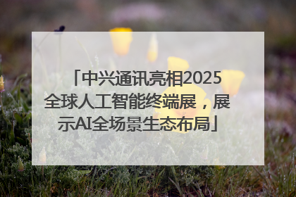 中兴通讯亮相2025全球人工智能终端展，展示AI全场景生态布局