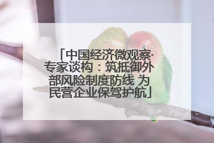 中国经济微观察·专家谈构：筑抵御外部风险制度防线 为民营企业保驾护航