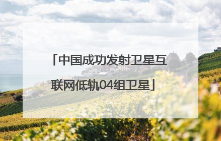 中国成功发射卫星互联网低轨04组卫星
