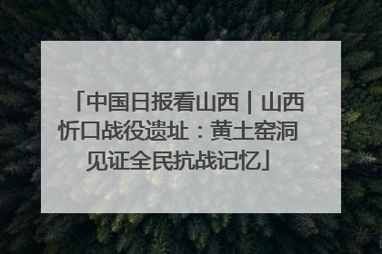 中国日报看山西｜山西忻口战役遗址：黄土窑洞见证全民抗战记忆