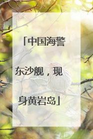 中国海警东沙舰，现身黄岩岛