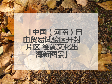 中国（河南）自由贸易试验区开封片区 绘就文化出海新图景