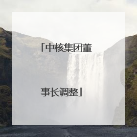 中核集团董事长调整