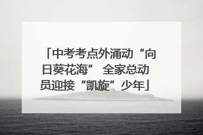中考考点外涌动“向日葵花海” 全家总动员迎接“凯旋”少年
