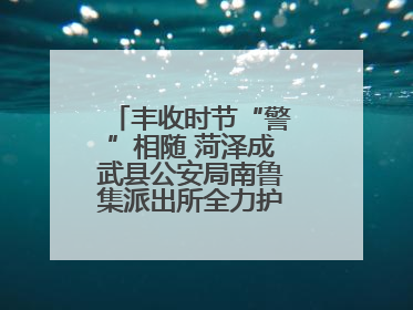 丰收时节“警”相随 菏泽成武县公安局南鲁集派出所全力护航大蒜收获季