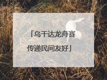 乌干达龙舟赛传递民间友好