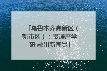 乌鲁木齐高新区（新市区）：贯通产学研 融出新图景