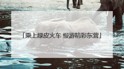 乘上绿皮火车 慢游精彩东营