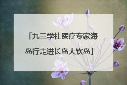 九三学社医疗专家海岛行走进长岛大钦岛