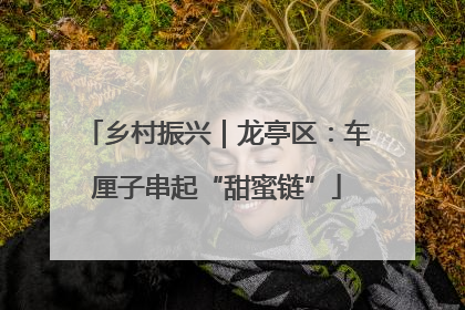 乡村振兴｜龙亭区：车厘子串起“甜蜜链”