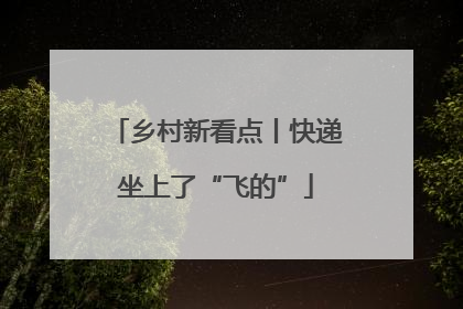 乡村新看点丨快递坐上了“飞的”