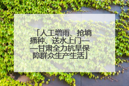 人工增雨、抢墒播种、送水上门——甘肃全力抗旱保障群众生产生活