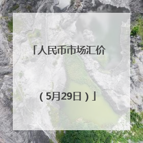 人民币市场汇价（5月29日）