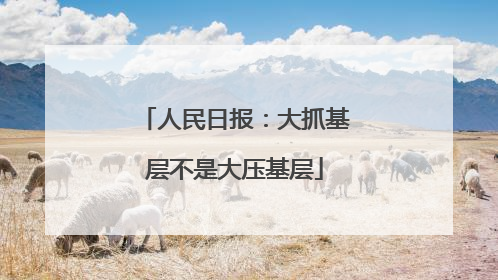 人民日报：大抓基层不是大压基层