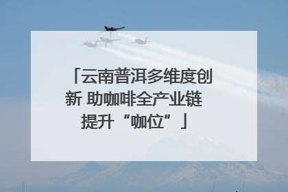 云南普洱多维度创新 助咖啡全产业链提升“咖位”