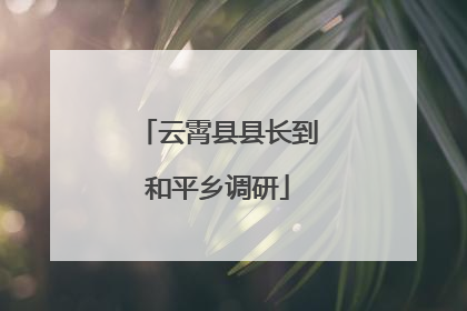 云霄县县长到和平乡调研