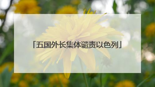 五国外长集体谴责以色列