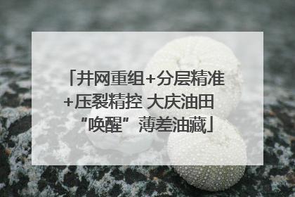 井网重组+分层精准+压裂精控 大庆油田“唤醒”薄差油藏