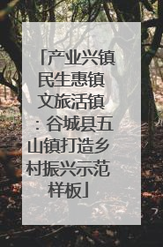 产业兴镇 民生惠镇 文旅活镇：谷城县五山镇打造乡村振兴示范样板