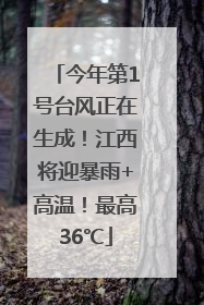 今年第1号台风正在生成！江西将迎暴雨+高温！最高36℃