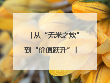 从“无米之炊”到“价值跃升”